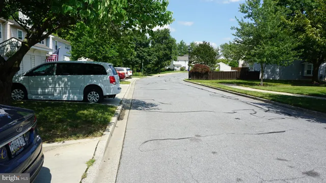 a view of a park with plants and trees