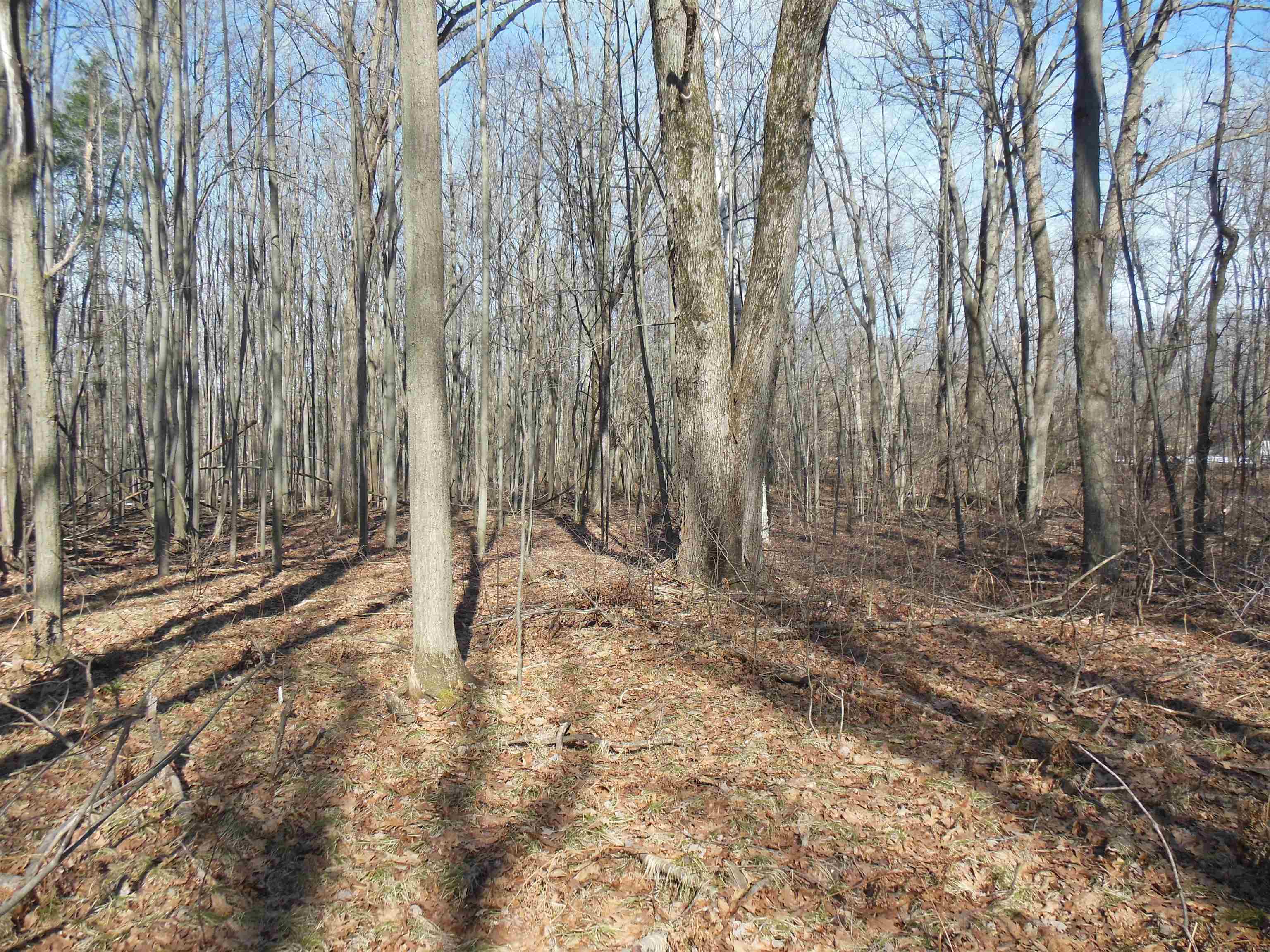 581 East Clarence Road Harrison, MI 48625 - Photo 11 of 29 Gallery Image 11