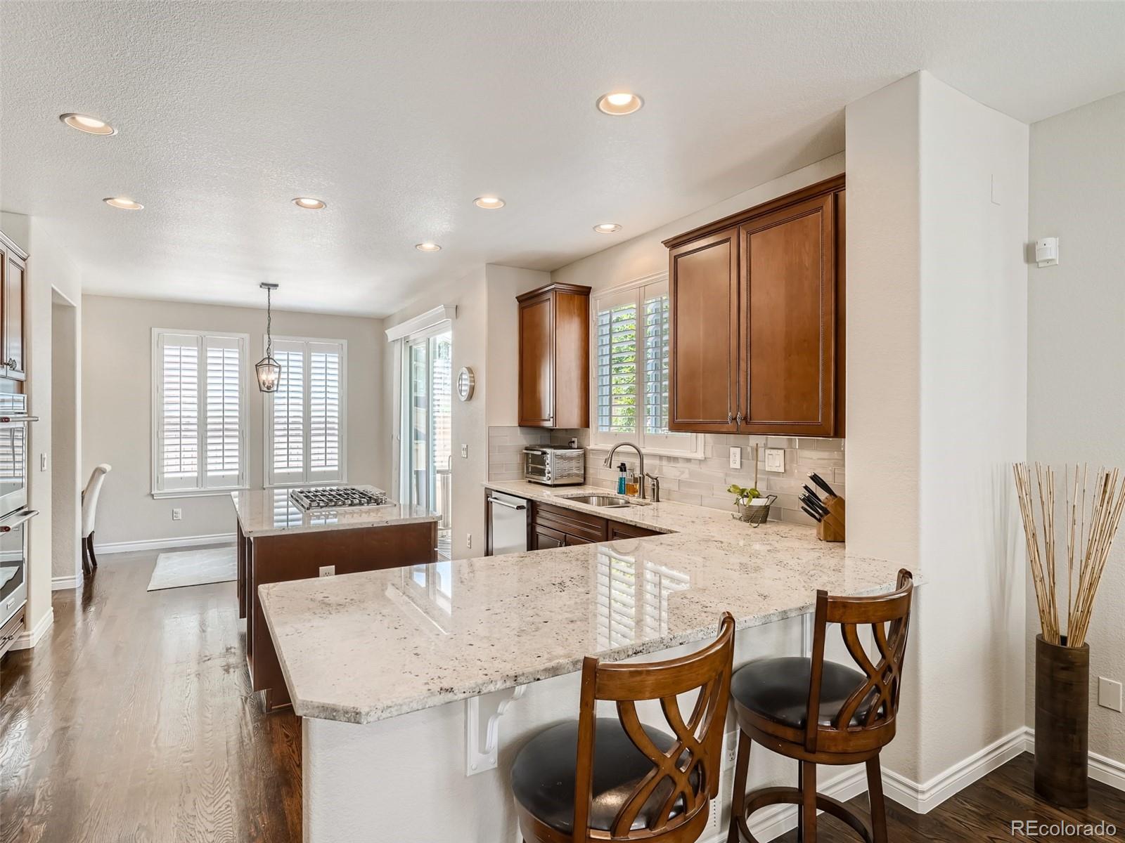 4875 Bluegate Drive Highlands Ranch, CO 80130 - Photo 9 of 32 Gallery Image 9