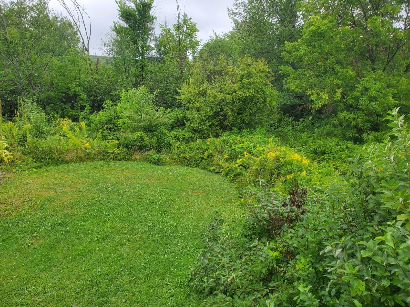 86 Houlton Road Danforth, ME 04424 - Photo 4 of 13 20220809_095657