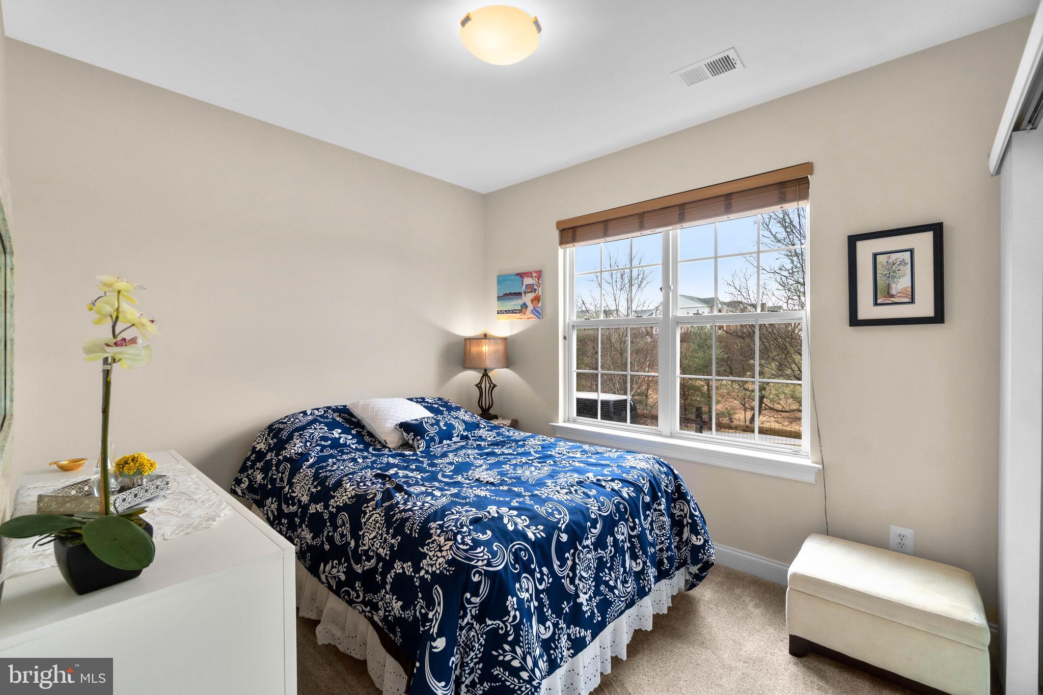 Lower Level Bedroom