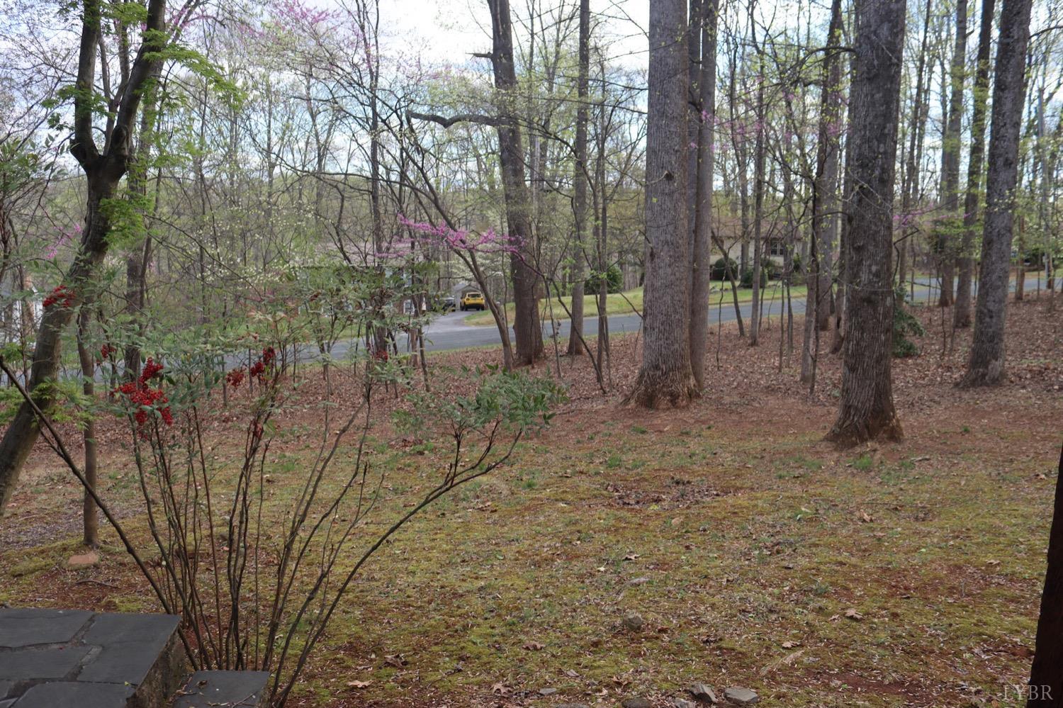 147 River Ridge Road Madison Heights, VA 24572 - Photo 6 of 40
