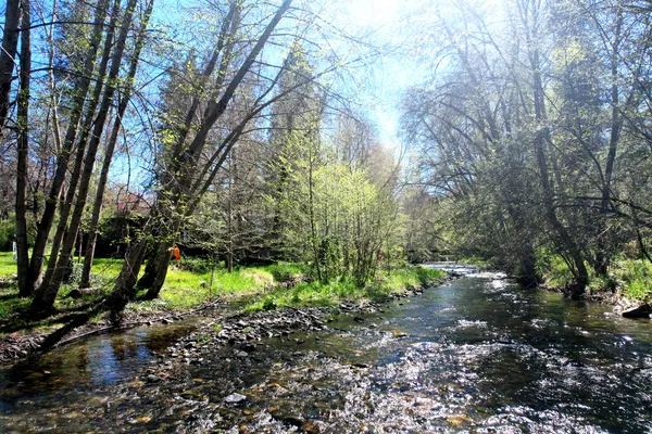 $545,000 | 3356 Little Applegate Road, Jacksonville, OR 97530