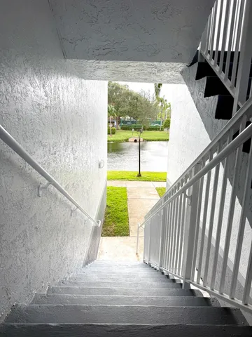 a view of a flower in a garden