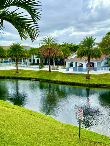 a view of a lake with a palm trees