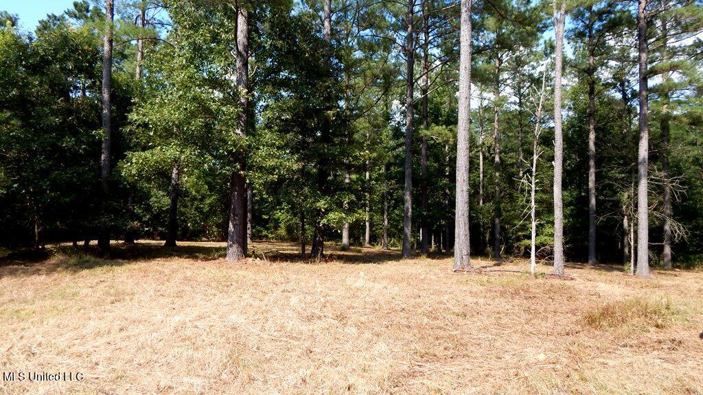 750 Bethel Road Coldwater, MS 38618 - Photo 1 of 46 Land