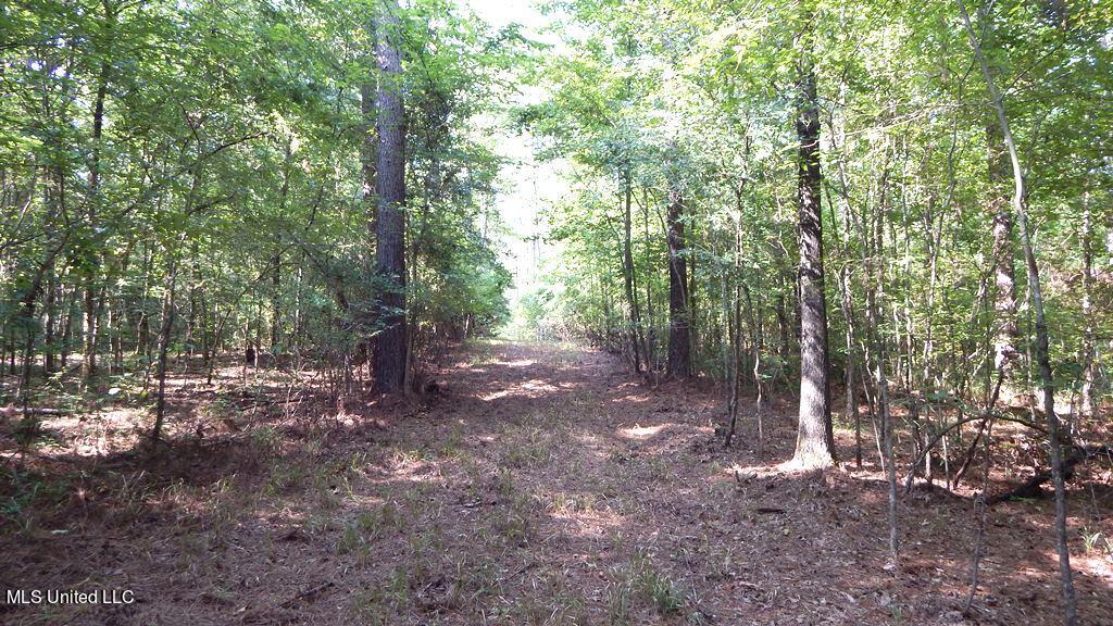 750 Bethel Road Coldwater, MS 38618 - Photo 11 of 46 DSCN3949