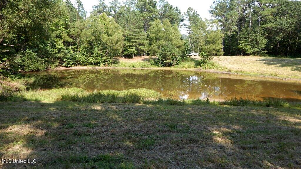 750 Bethel Road Coldwater, MS 38618 - Photo 13 of 46 DSCN3955