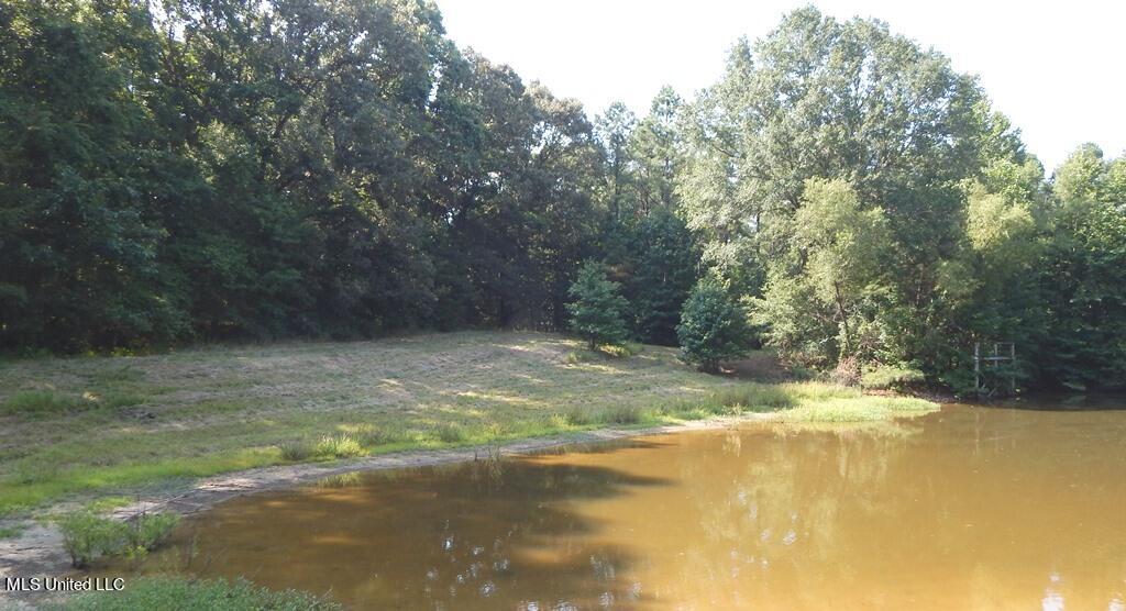 750 Bethel Road Coldwater, MS 38618 - Photo 14 of 46 DSCN3960