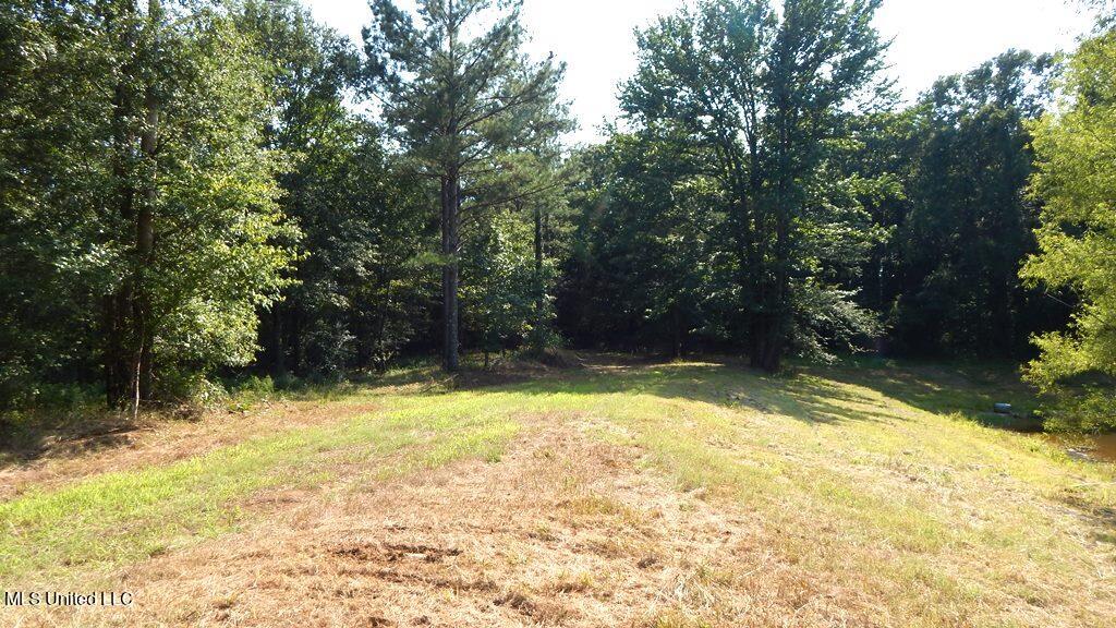 750 Bethel Road Coldwater, MS 38618 - Photo 15 of 46 DSCN3962