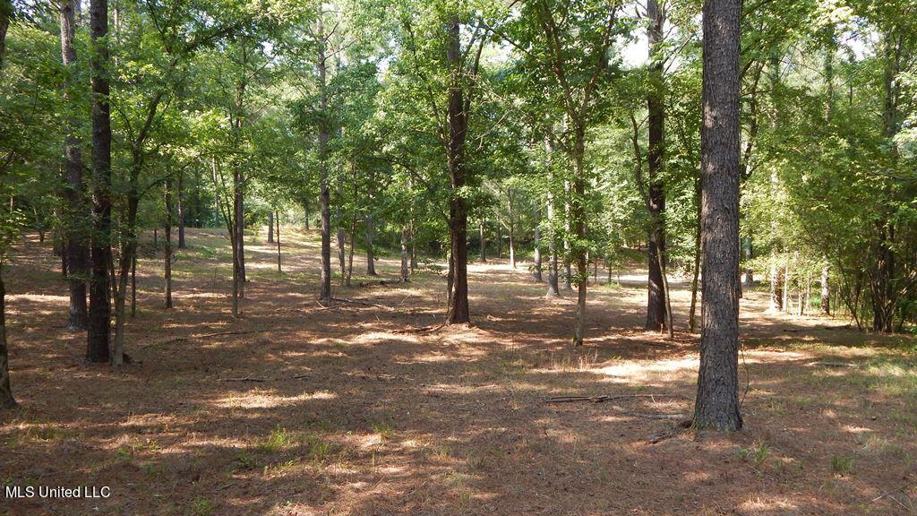 750 Bethel Road Coldwater, MS 38618 - Photo 17 of 46 DSCN3966
