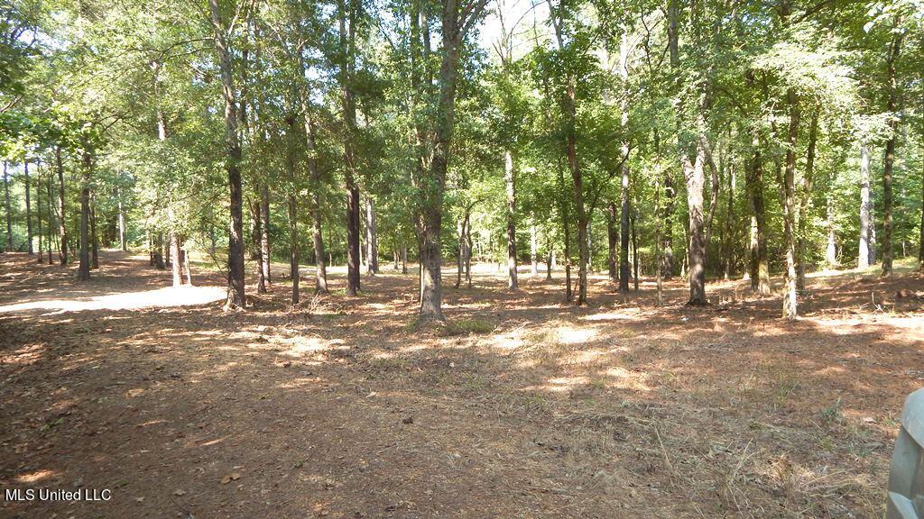 750 Bethel Road Coldwater, MS 38618 - Photo 18 of 46 DSCN3918