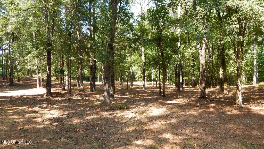 750 Bethel Road Coldwater, MS 38618 - Photo 19 of 46 DSCN3919