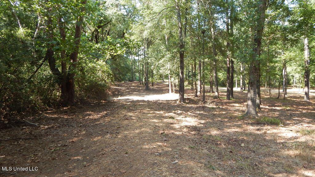 750 Bethel Road Coldwater, MS 38618 - Photo 20 of 46 DSCN3920