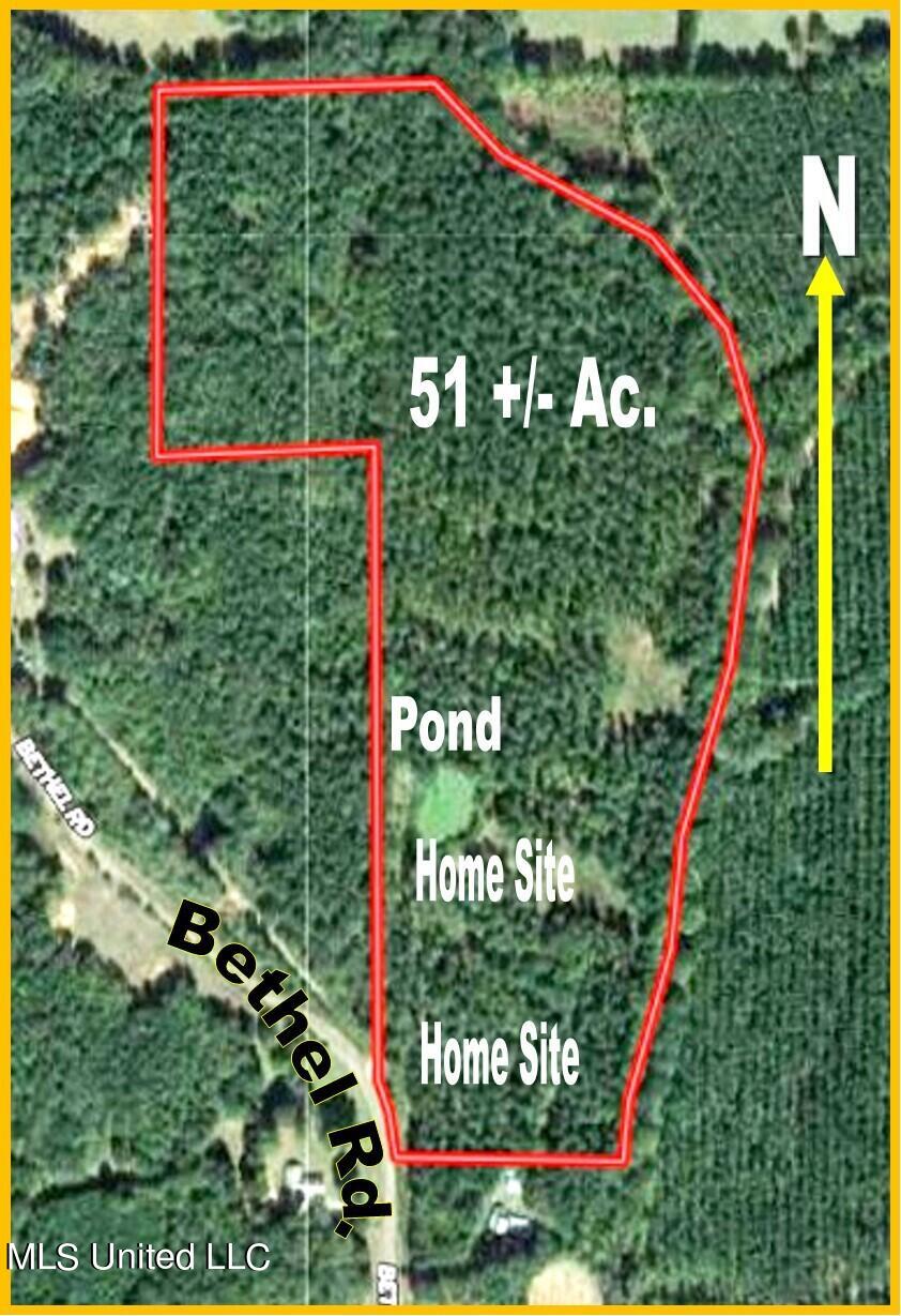 750 Bethel Road Coldwater, MS 38618 - Photo 2 of 46 Aerial Map