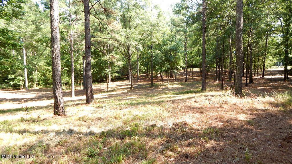 750 Bethel Road Coldwater, MS 38618 - Photo 21 of 46 DSCN3925