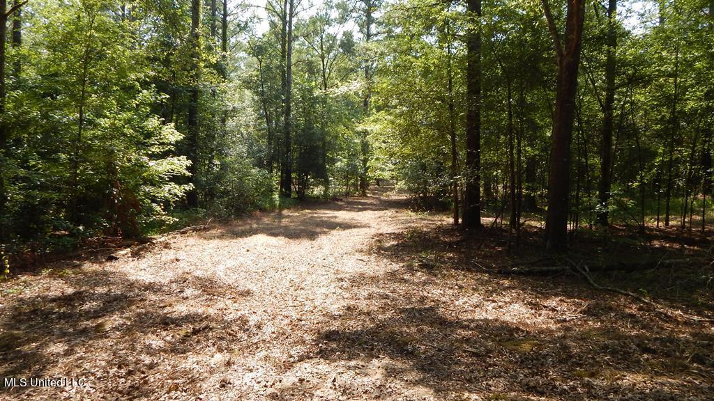 750 Bethel Road Coldwater, MS 38618 - Photo 23 of 46 DSCN3933