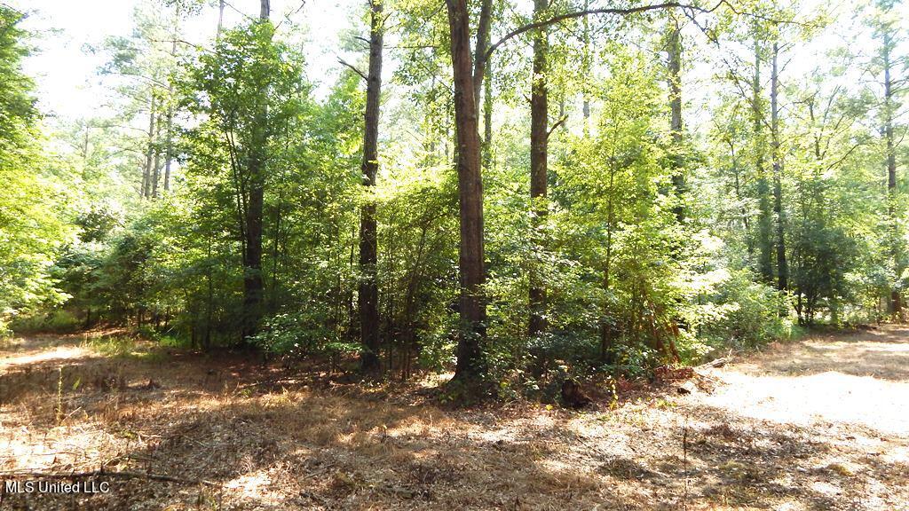 750 Bethel Road Coldwater, MS 38618 - Photo 24 of 46 DSCN3934