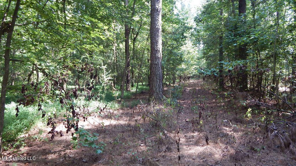 750 Bethel Road Coldwater, MS 38618 - Photo 25 of 46 DSCN3935