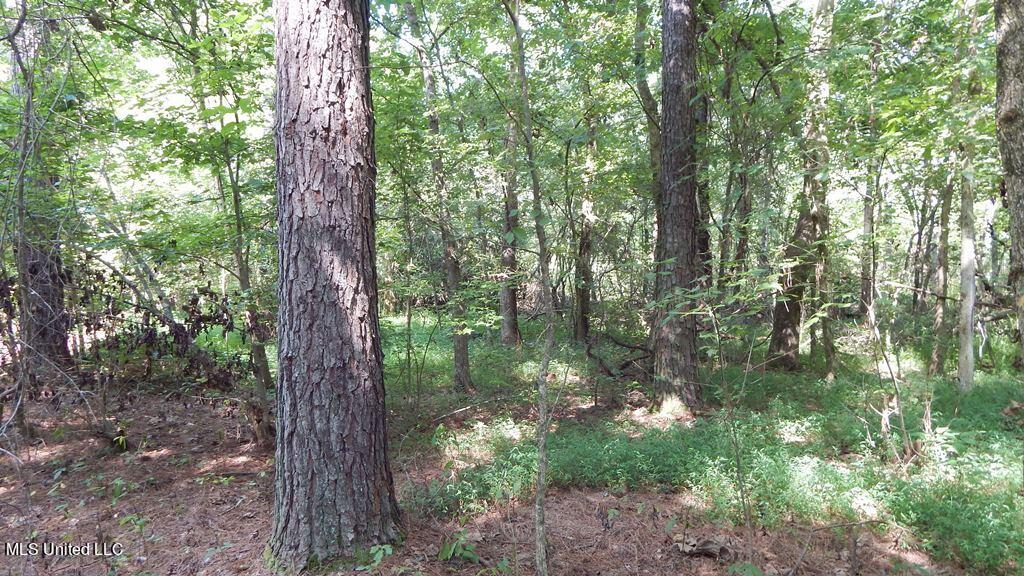 750 Bethel Road Coldwater, MS 38618 - Photo 26 of 46 DSCN3936