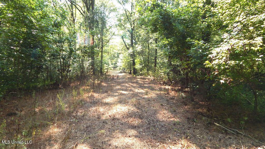 750 Bethel Road Coldwater, MS 38618 - Photo 27 of 46 DSCN3937