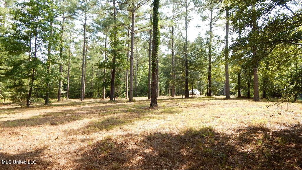 750 Bethel Road Coldwater, MS 38618 - Photo 28 of 46 DSCN3938
