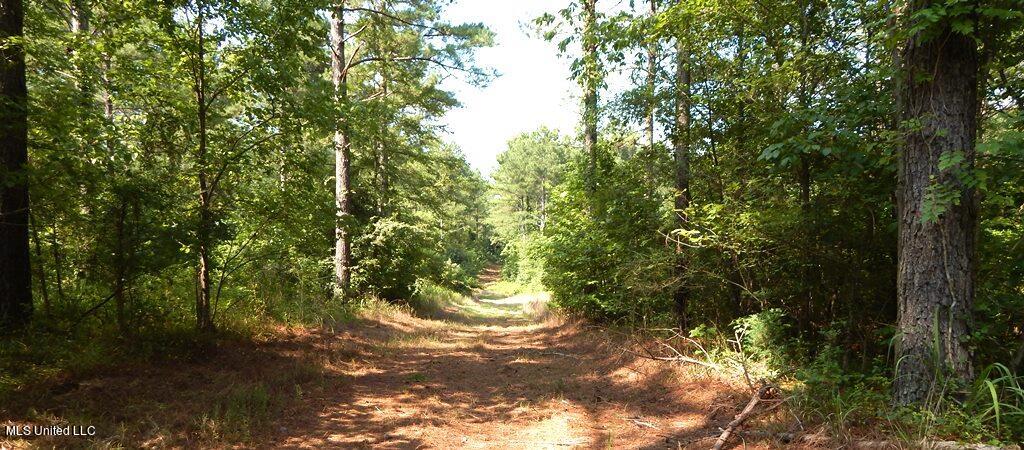 750 Bethel Road Coldwater, MS 38618 - Photo 29 of 46 DSCN3940