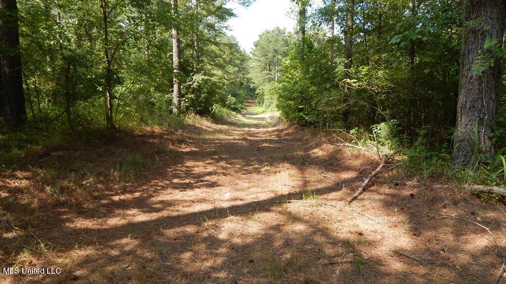750 Bethel Road Coldwater, MS 38618 - Photo 30 of 46 DSCN3942