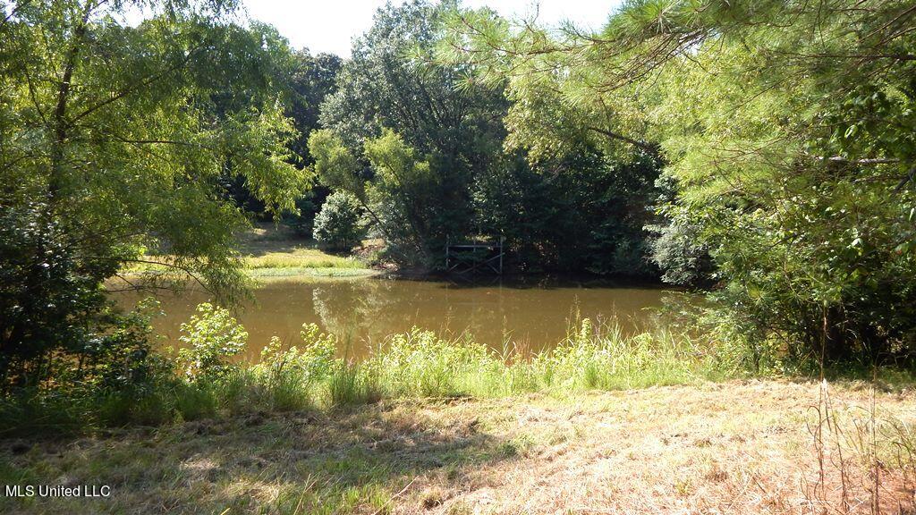750 Bethel Road Coldwater, MS 38618 - Photo 3 of 46 DSCN3927