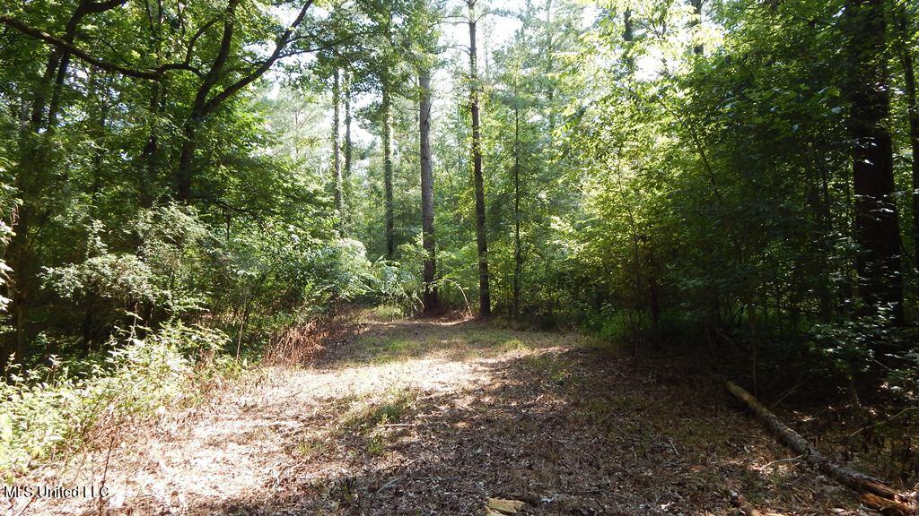 750 Bethel Road Coldwater, MS 38618 - Photo 32 of 46 DSCN3944