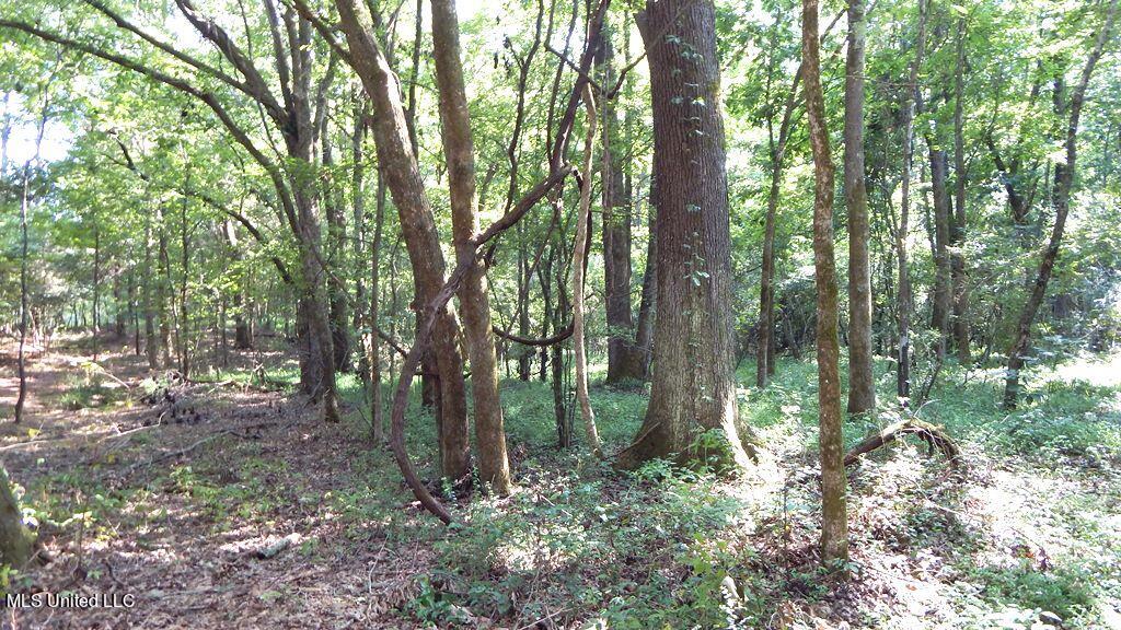 750 Bethel Road Coldwater, MS 38618 - Photo 35 of 46 DSCN3950