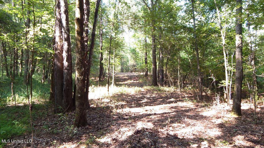 750 Bethel Road Coldwater, MS 38618 - Photo 36 of 46 DSCN3951