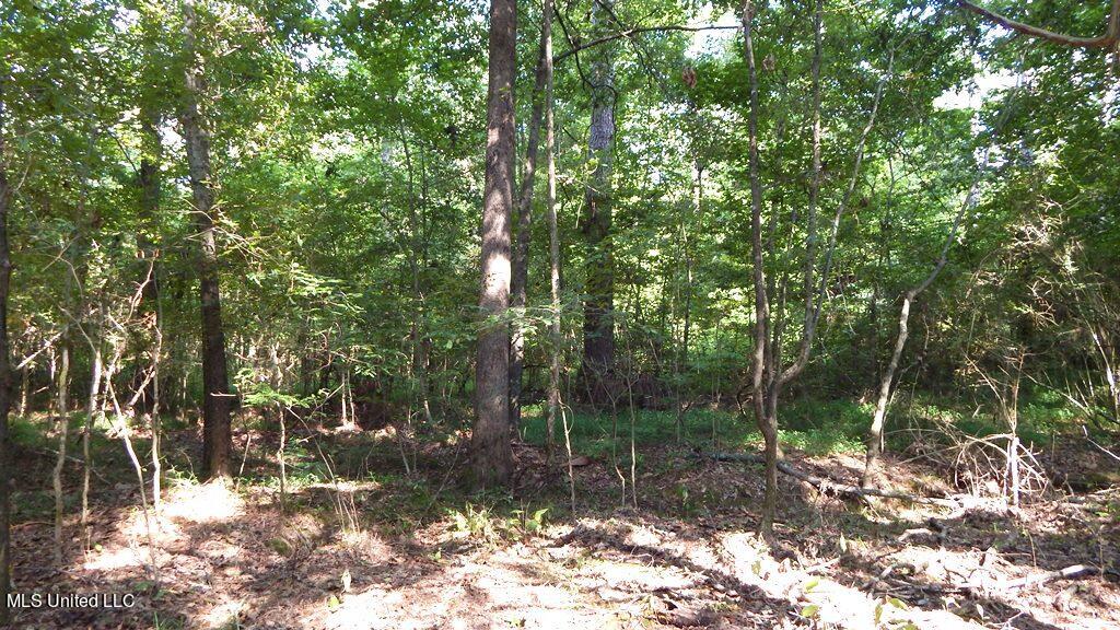 750 Bethel Road Coldwater, MS 38618 - Photo 37 of 46 DSCN3952