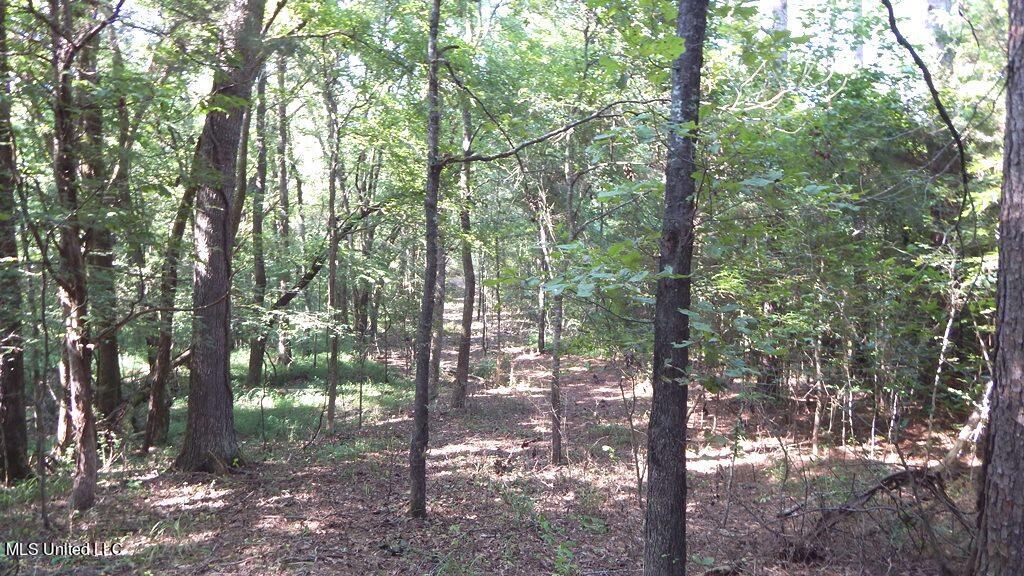 750 Bethel Road Coldwater, MS 38618 - Photo 38 of 46 DSCN3953