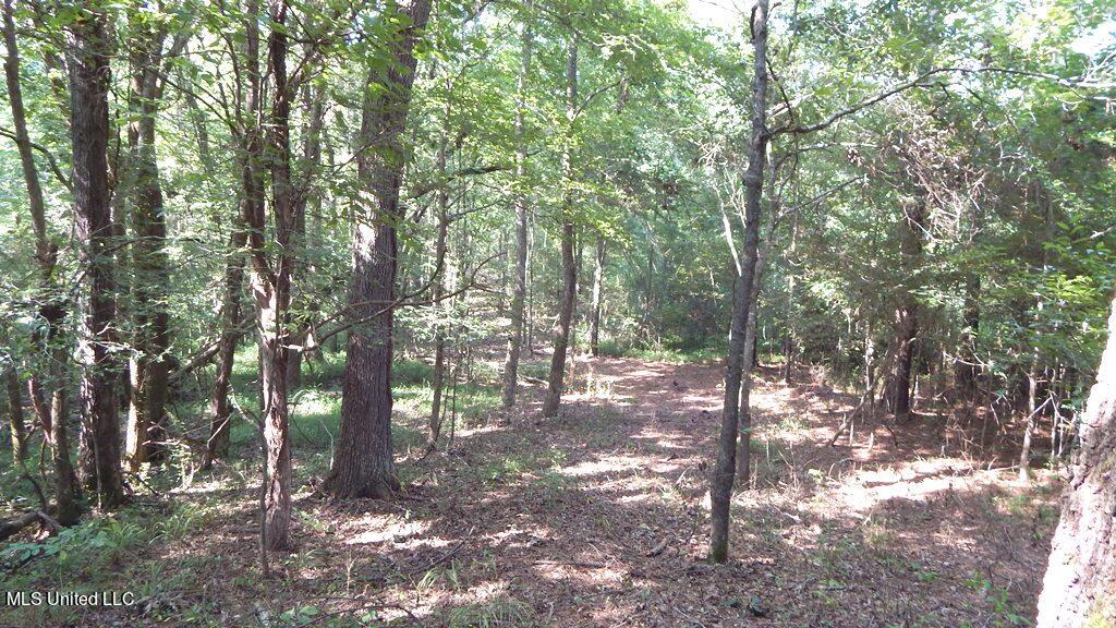 750 Bethel Road Coldwater, MS 38618 - Photo 39 of 46 DSCN3954