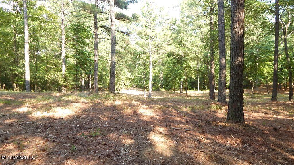 750 Bethel Road Coldwater, MS 38618 - Photo 40 of 46 DSCN3963