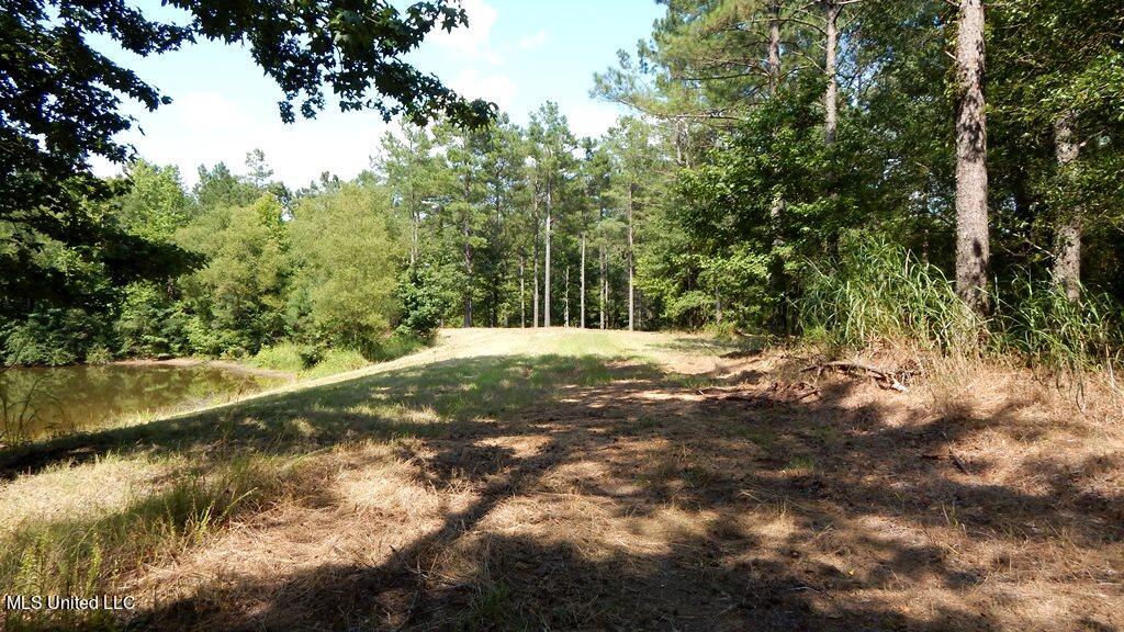 750 Bethel Road Coldwater, MS 38618 - Photo 4 of 46 DSCN3921