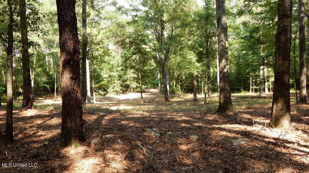 750 Bethel Road Coldwater, MS 38618 - Photo 41 of 46 DSCN3965
