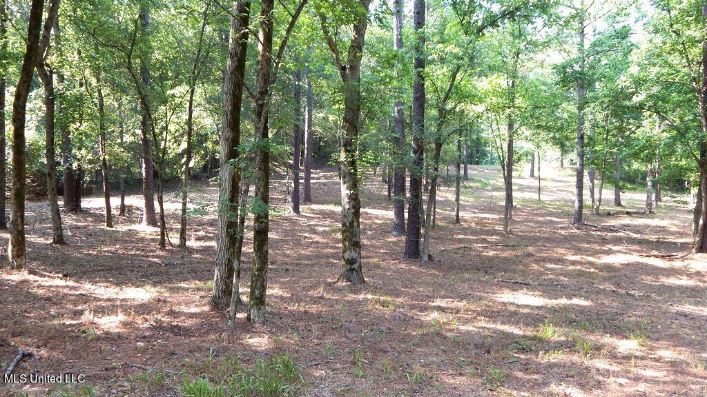 750 Bethel Road Coldwater, MS 38618 - Photo 42 of 46 DSCN3968