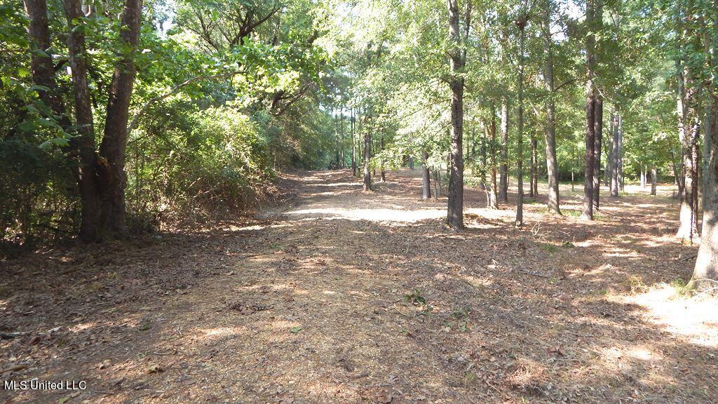 750 Bethel Road Coldwater, MS 38618 - Photo 43 of 46 DSCN3969