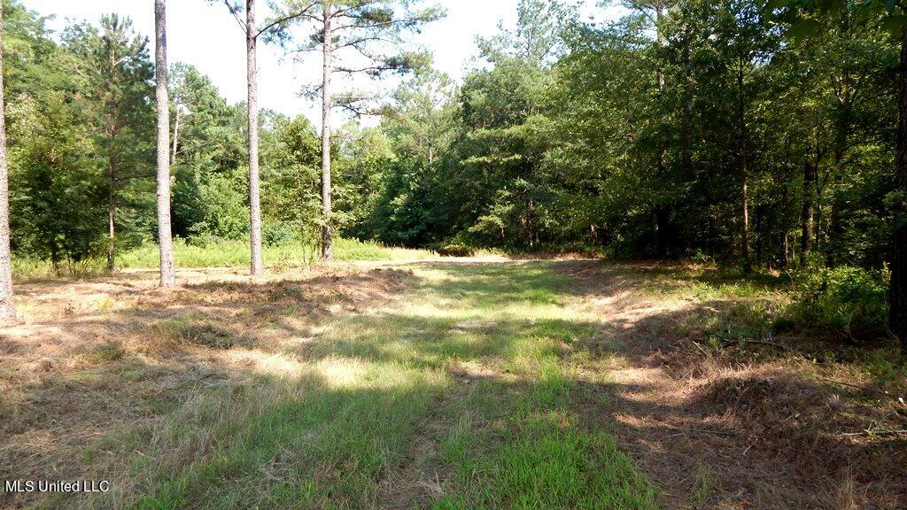750 Bethel Road Coldwater, MS 38618 - Photo 5 of 46 DSCN3930