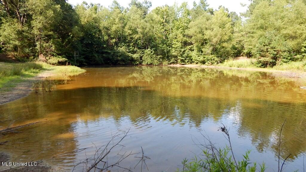 750 Bethel Road Coldwater, MS 38618 - Photo 6 of 46 DSCN3958