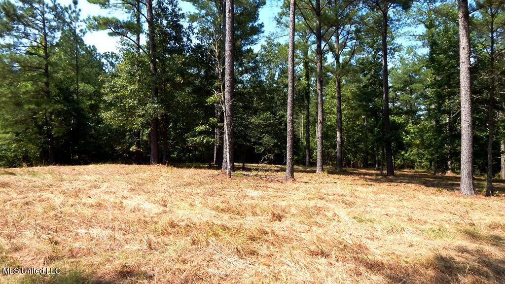 750 Bethel Road Coldwater, MS 38618 - Photo 7 of 46 DSCN3929