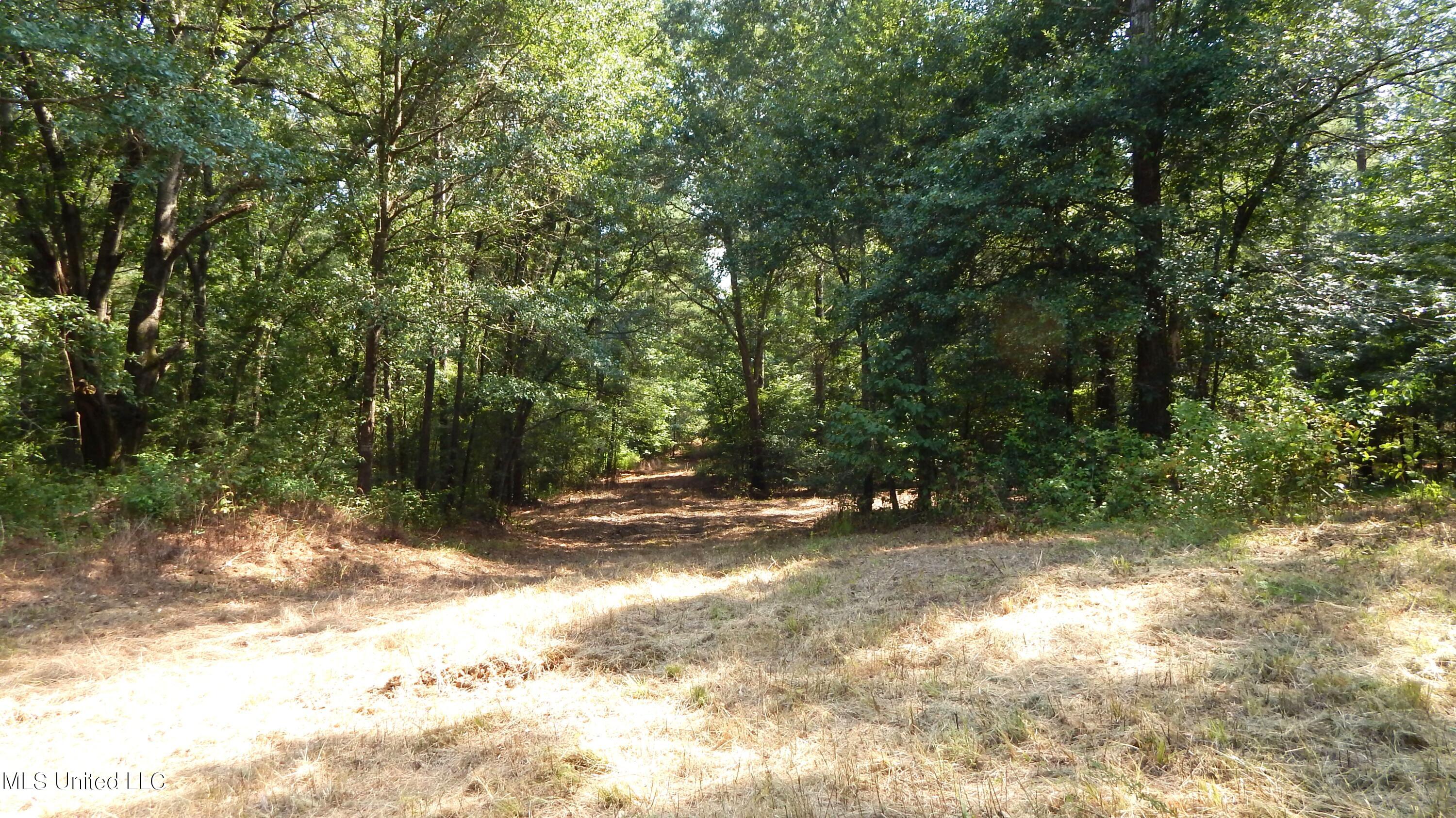 750 Bethel Road Coldwater, MS 38618 - Photo 8 of 46 DSCN3931