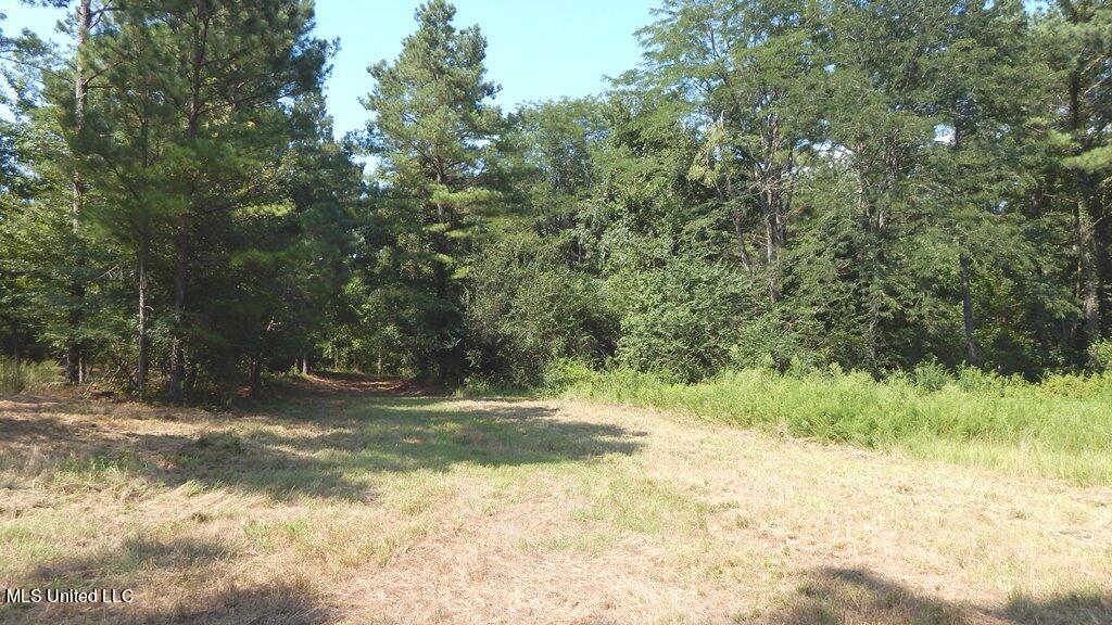 750 Bethel Road Coldwater, MS 38618 - Photo 9 of 46 DSCN3932