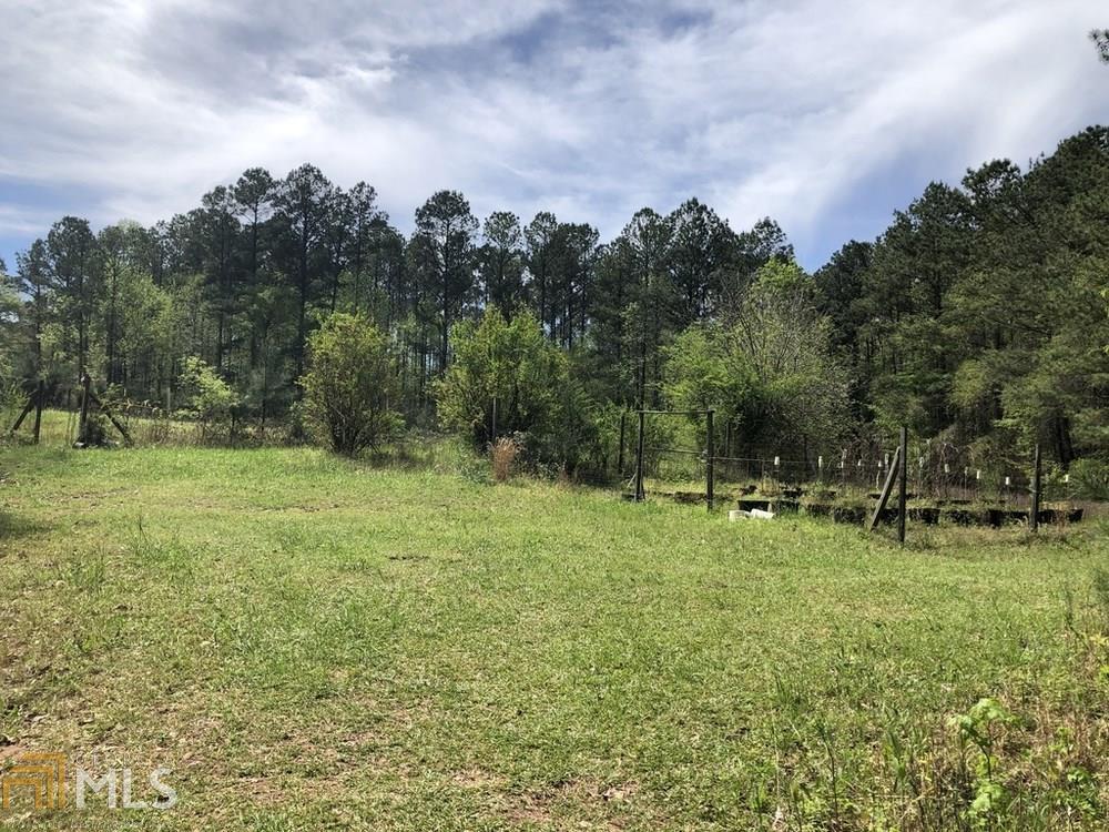 0 Cline Road Moreland, GA 30259 - Photo 1 of 1