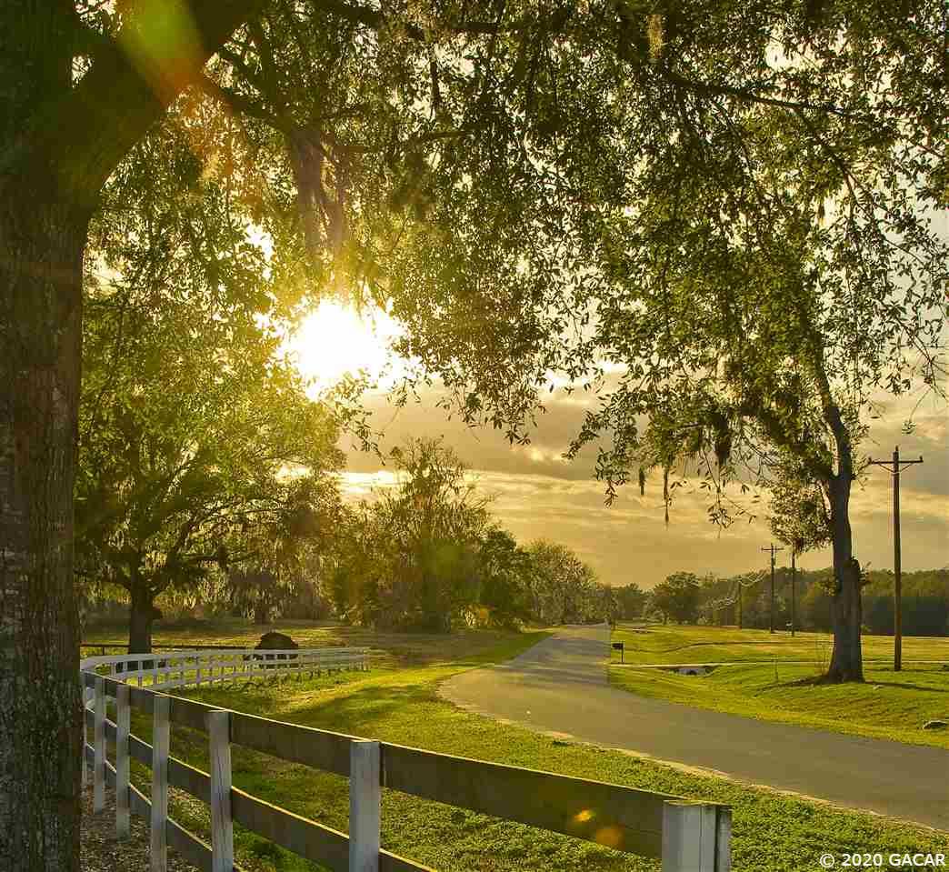 1775 Southwest 70th Circle Gainesville, FL 32607 - Photo 13 of 29 Gallery Image 13