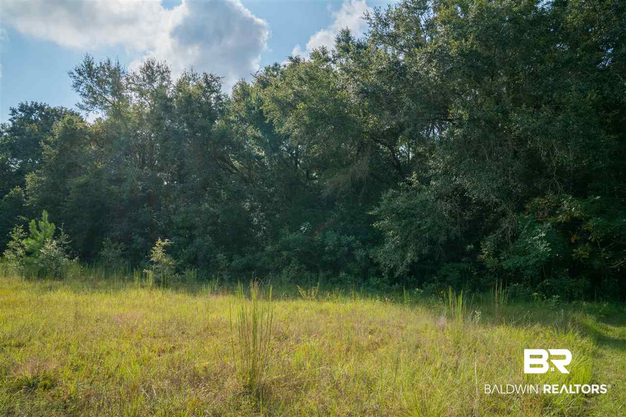 19450 Keller Road Foley, AL 36535 - Photo 7 of 19