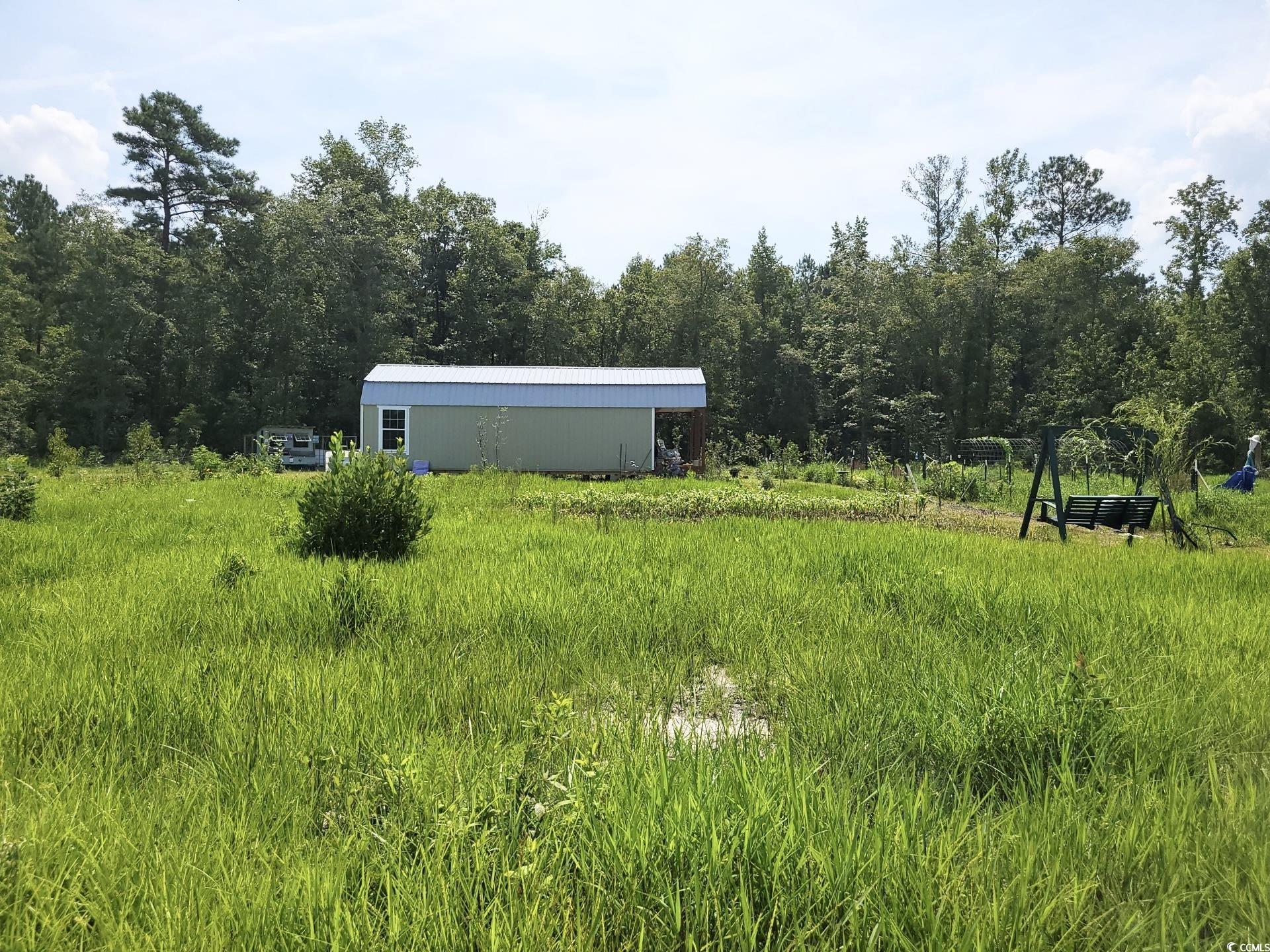 244 Chair Road Hemingway, SC 29554 - Photo 9 of 17