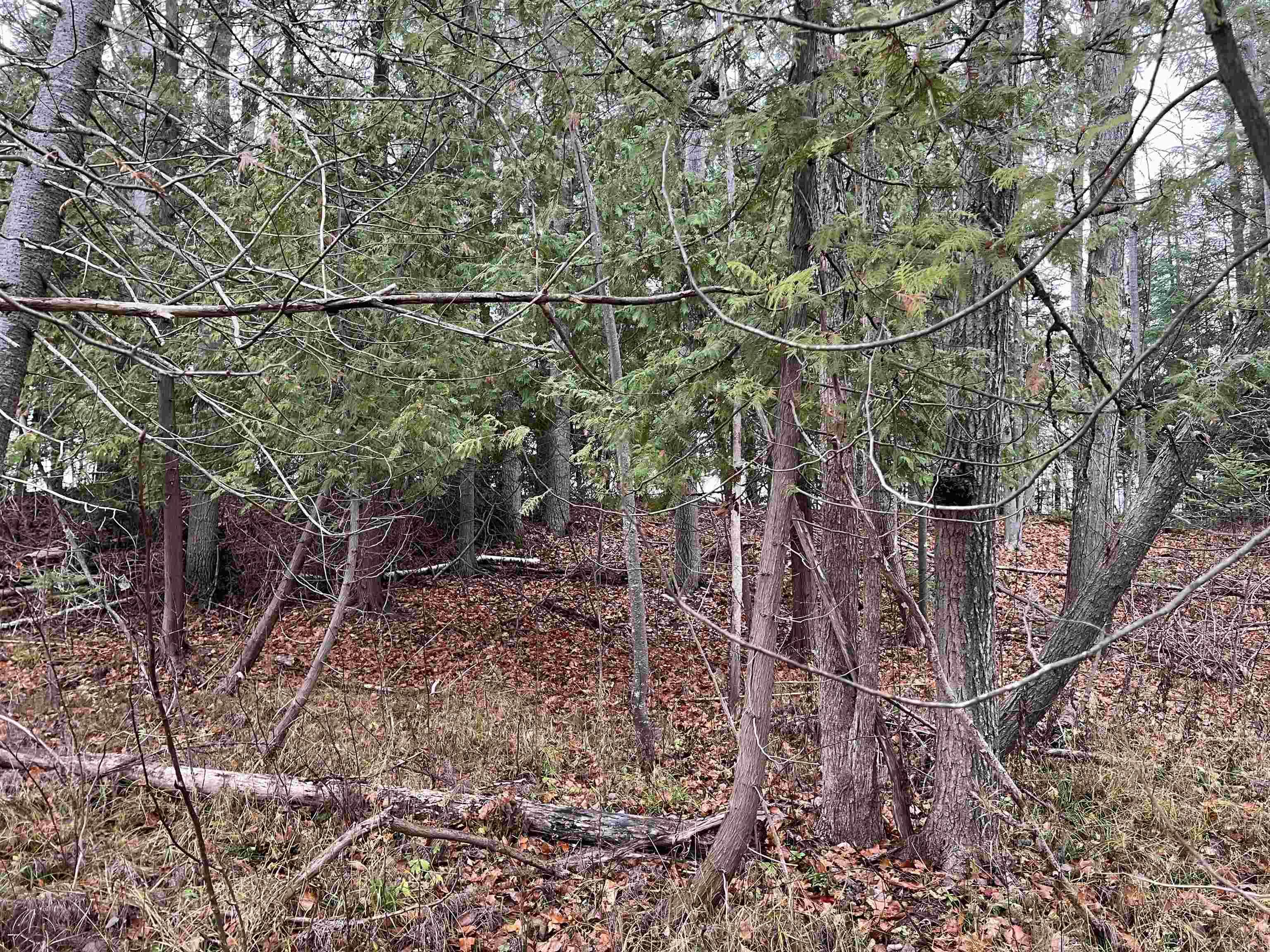 Long Rapids Road Alpena, MI 49707 - Photo 10 of 47 Gallery Image 10